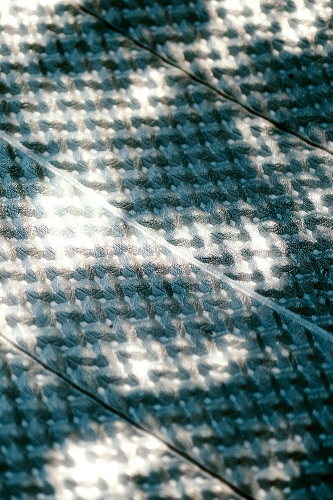 a-black-and-white-photo-of-a-skateboard-on-the-ground-75xvtknurrc